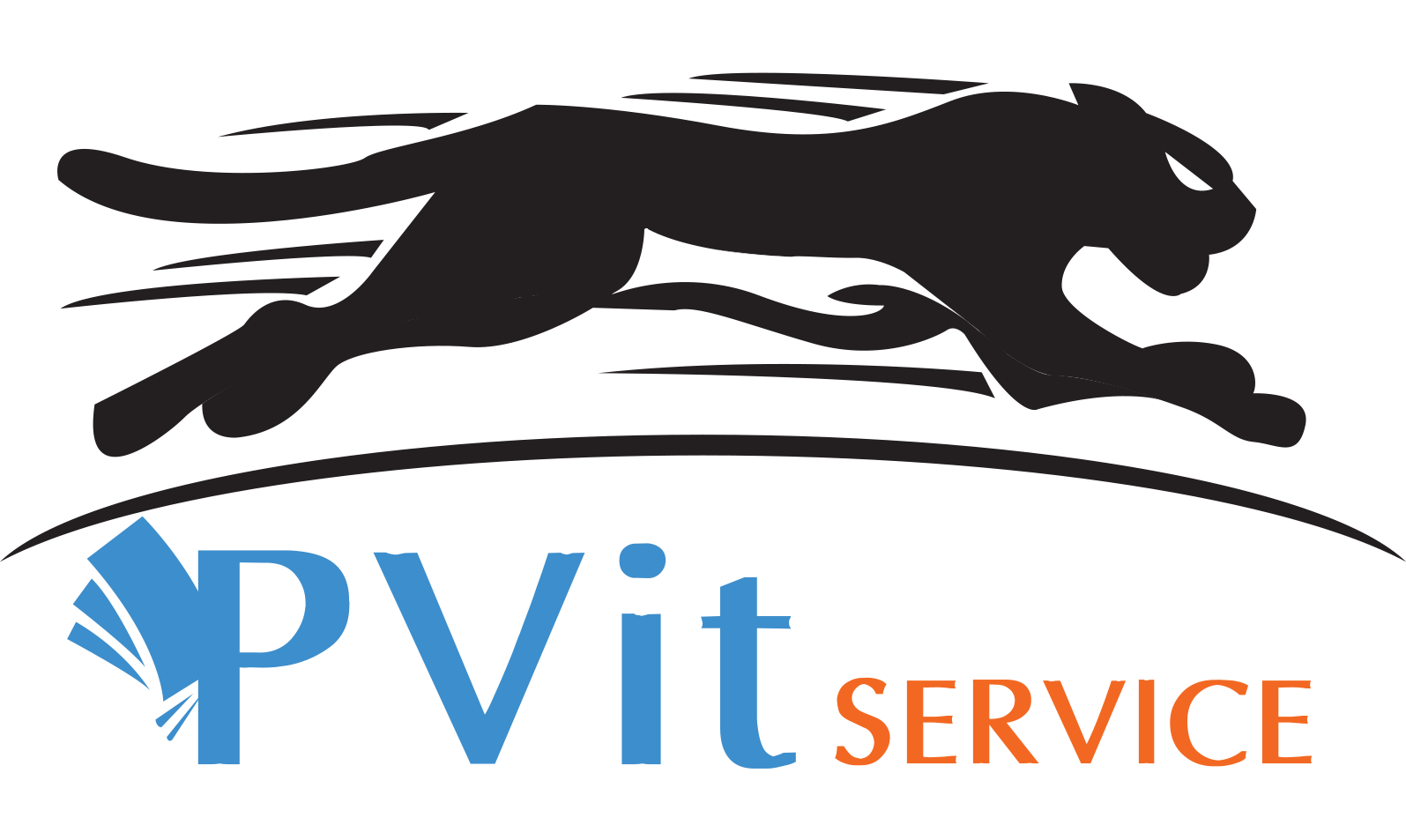 Logo Pvit